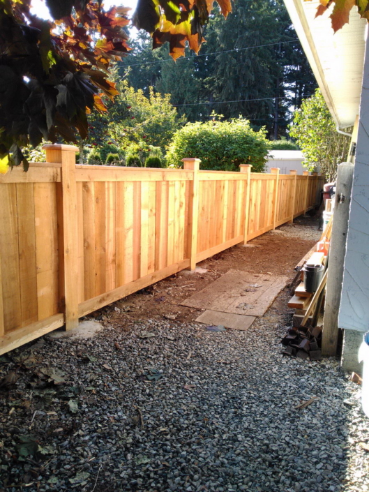 Cedar Fence