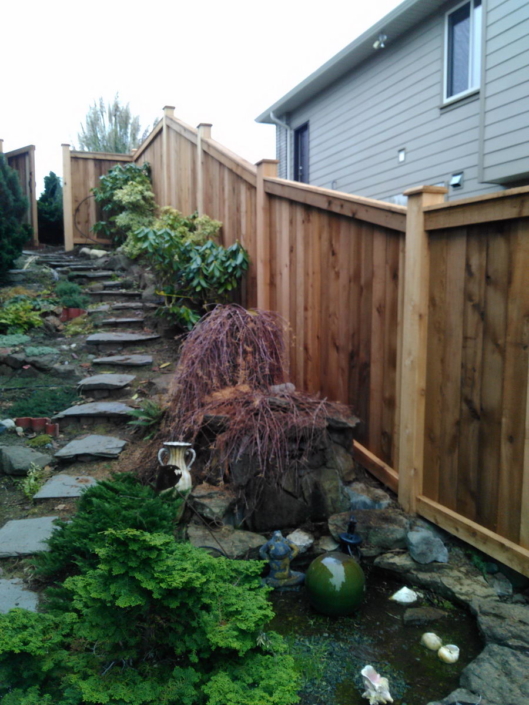 Cedar Fence