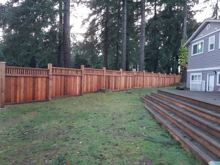 Cedar Fence