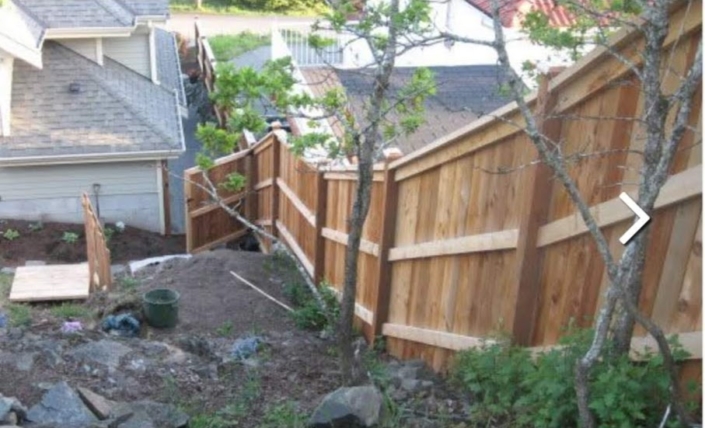 Cedar Fence