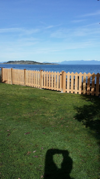 Cedar Fence