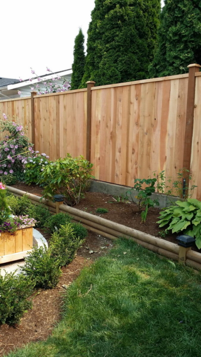 Cedar Fence