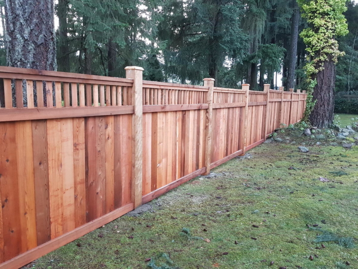 Cedar Fence