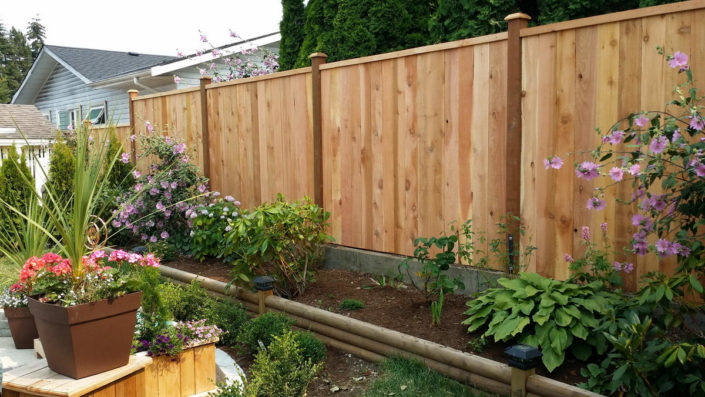 Cedar Fence